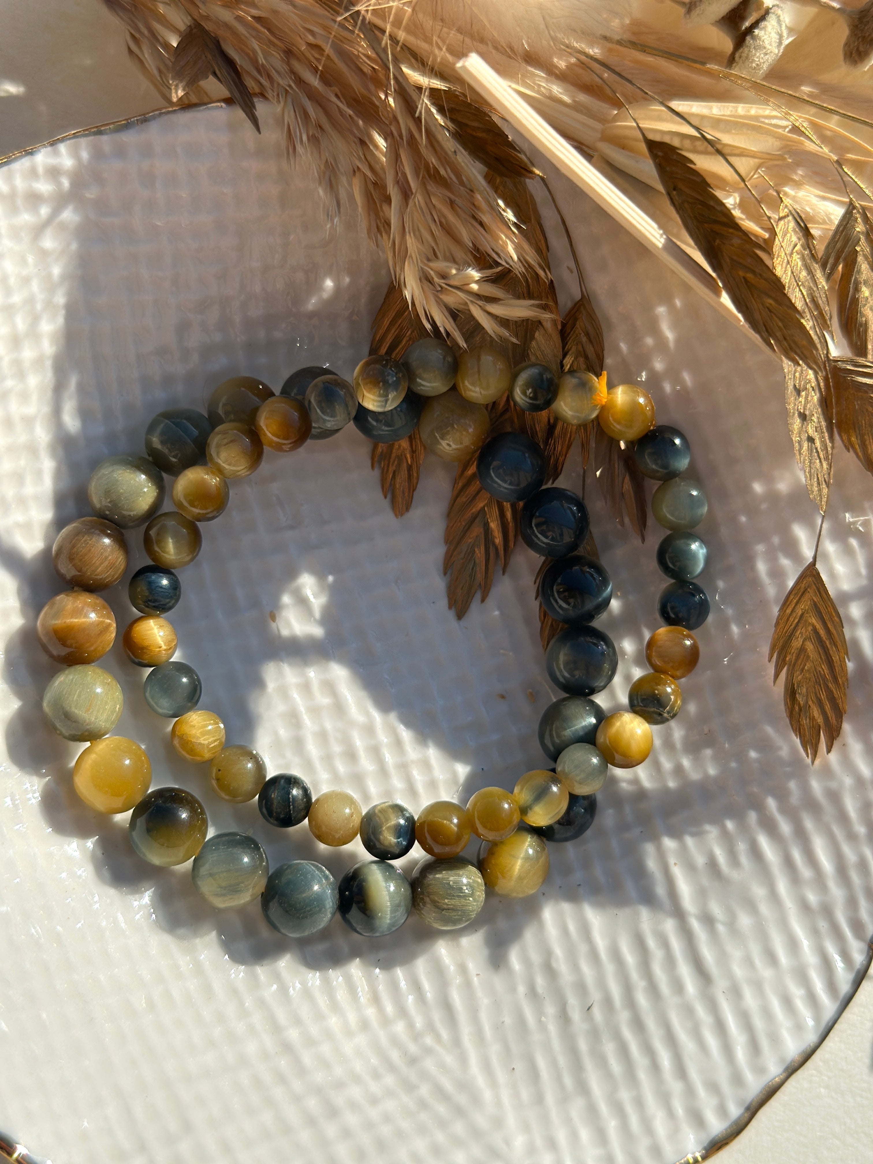 ŒIL DE TIGRE DORÉE AFRIQUE DU SUD