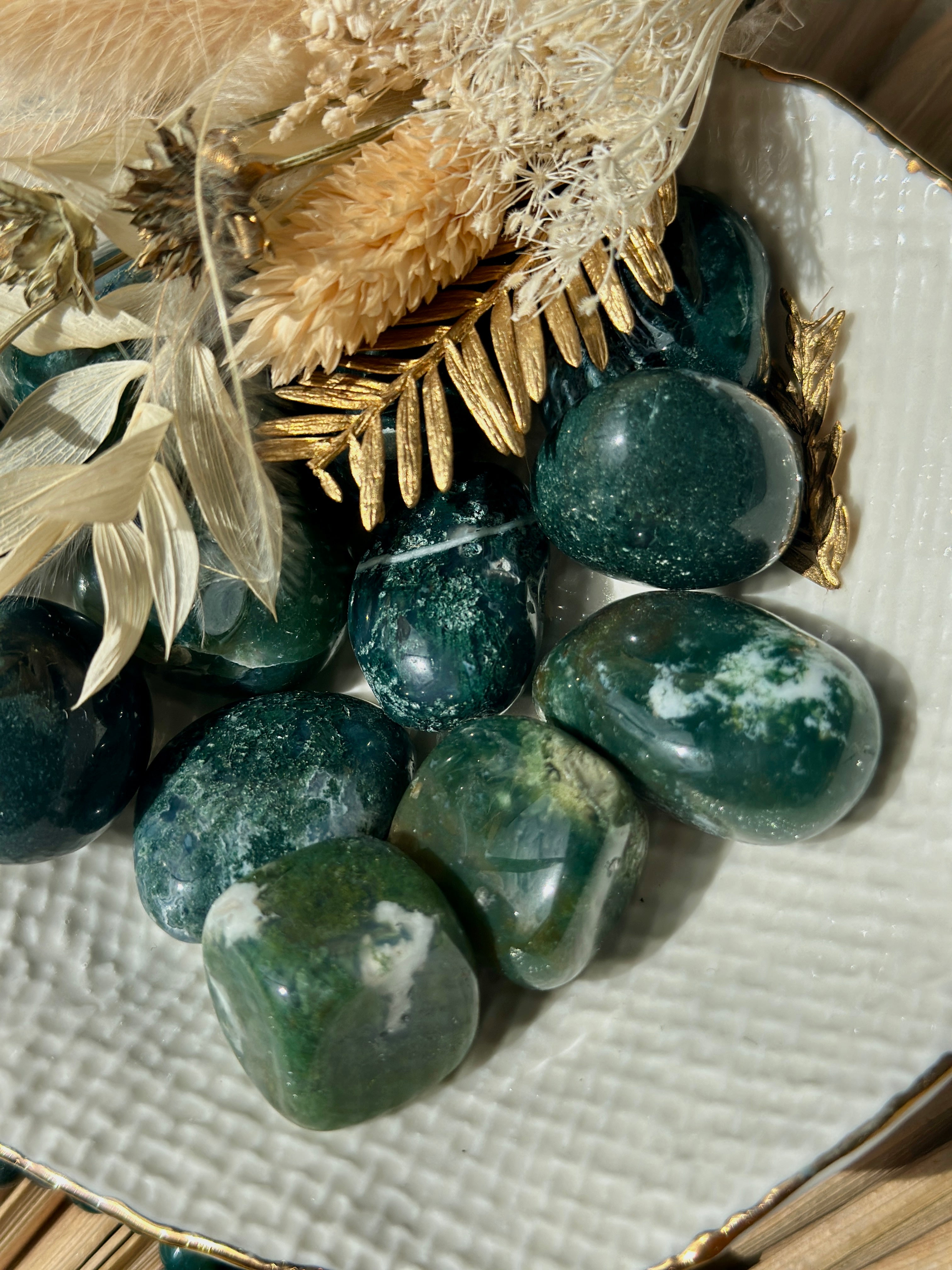 AGATE MOUSSE DU BRESIL